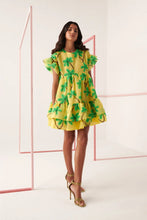 Load image into Gallery viewer, CeliaB Coral Palm Mini Dress
