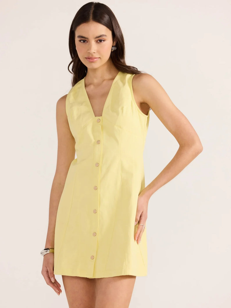 Mink Pink Izzy Panel Mini Dress