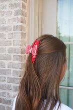 Load image into Gallery viewer, Greek Sorority Hair Clips: Pi Beta Phi