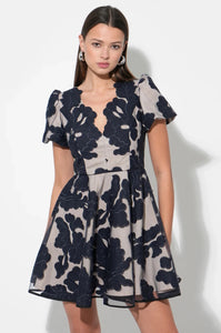 Adelyn Rae Agnes Embroidered Puff Sleeve Mini Dress