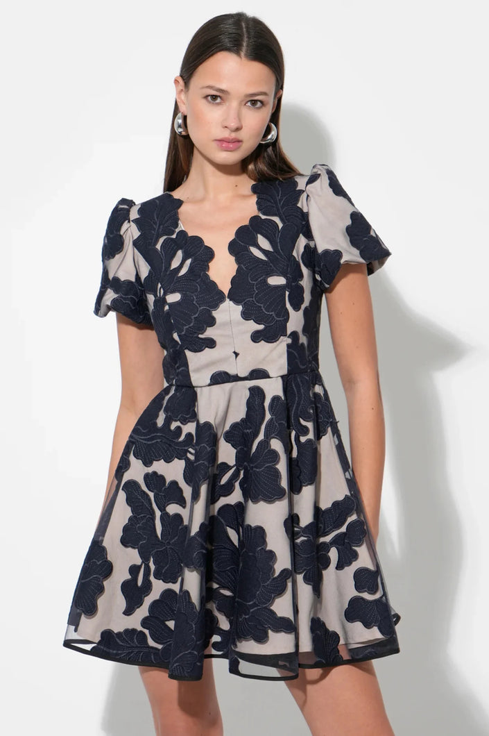 Adelyn Rae Agnes Embroidered Puff Sleeve Mini Dress
