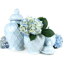 Load image into Gallery viewer, Light Blue Textured Ginger Jar