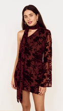 Load image into Gallery viewer, Mink Pink Anouk Velvet Scarf Mini Dress | Chocolate
