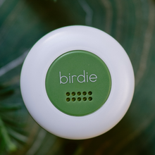 Load image into Gallery viewer, Birdie Disc: Aqua