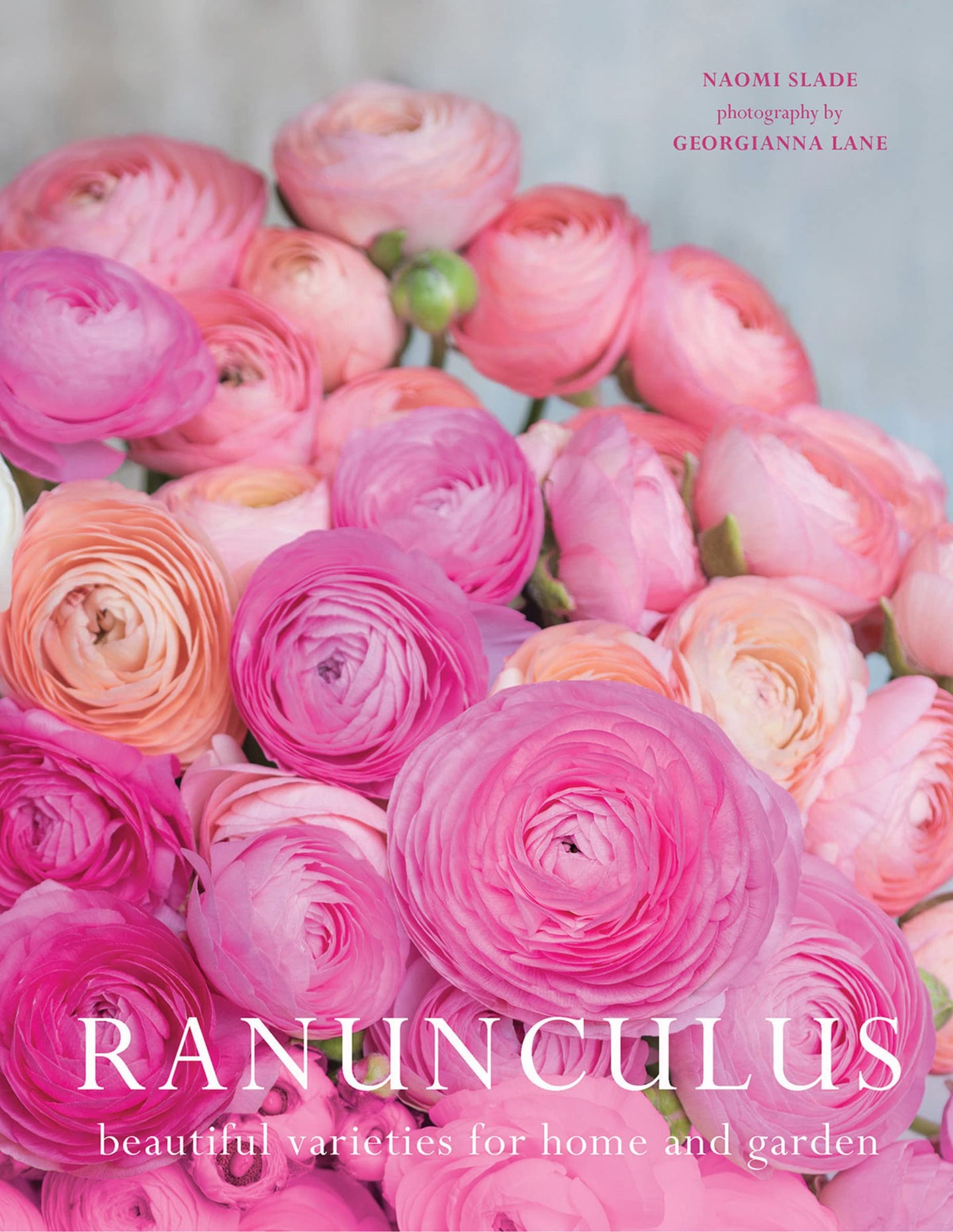 Ranuculus - by Naomi Slade (Hardcover)