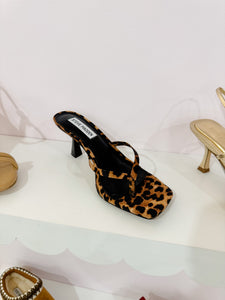 Steve Madden Allies Heeled Sandal | Leopard Satin