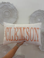 Orange Watercolor Clemson Pillow