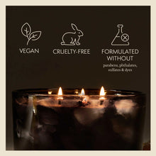 Load image into Gallery viewer, Noir Woods 3-Wick Poured Candle