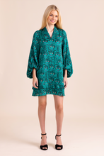 Load image into Gallery viewer, Alden Adair Liza Dress | Party Animal