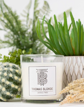 Load image into Gallery viewer, Joshua Tree Candle by Thomas Blonde