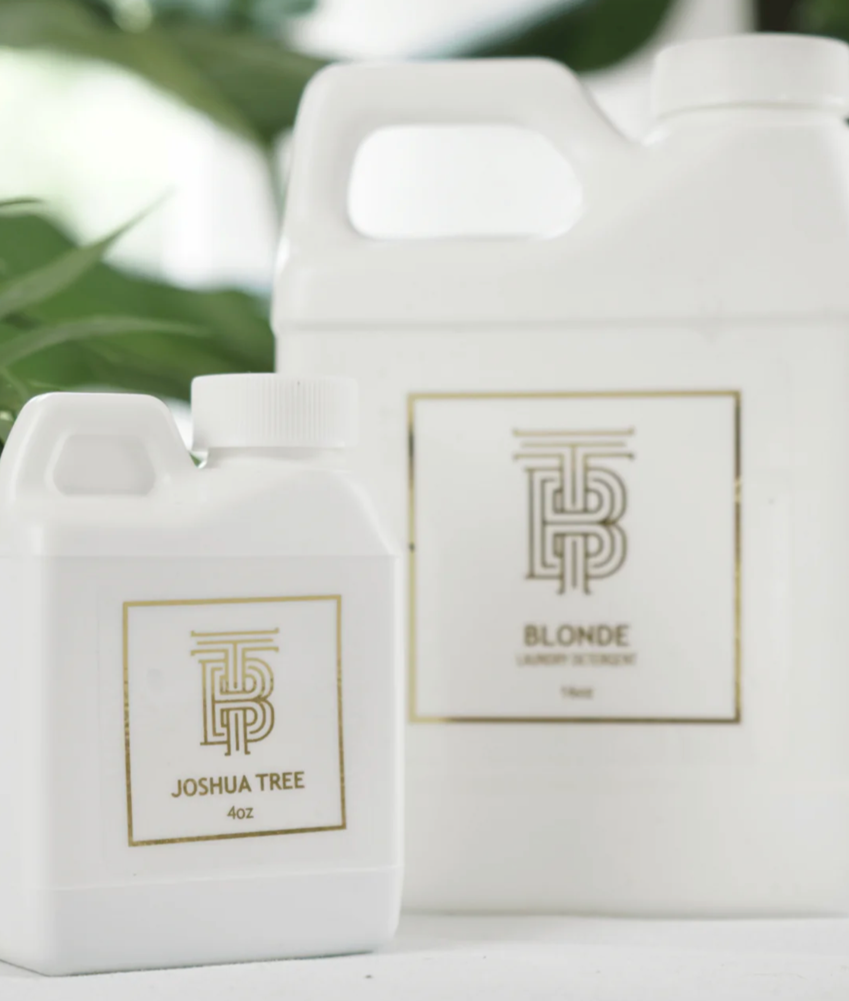 Thomas Blonde Laundry Detergent | Joshua Tree – The Fizz Boutique