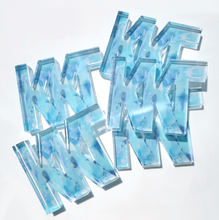 Load image into Gallery viewer, Acrylic Sorority Letter Block