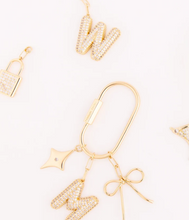 Load image into Gallery viewer, Bag Charm Carabiner