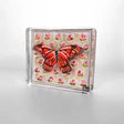 Load image into Gallery viewer, Lauren Dunn Monarch Butterfly On Peach Block | Small