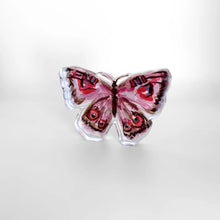 Load image into Gallery viewer, Lauren Dunn Purple Butterfly | Bitty