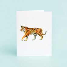 Load image into Gallery viewer, Taylor Paladino Tiger Boxed Card Set
