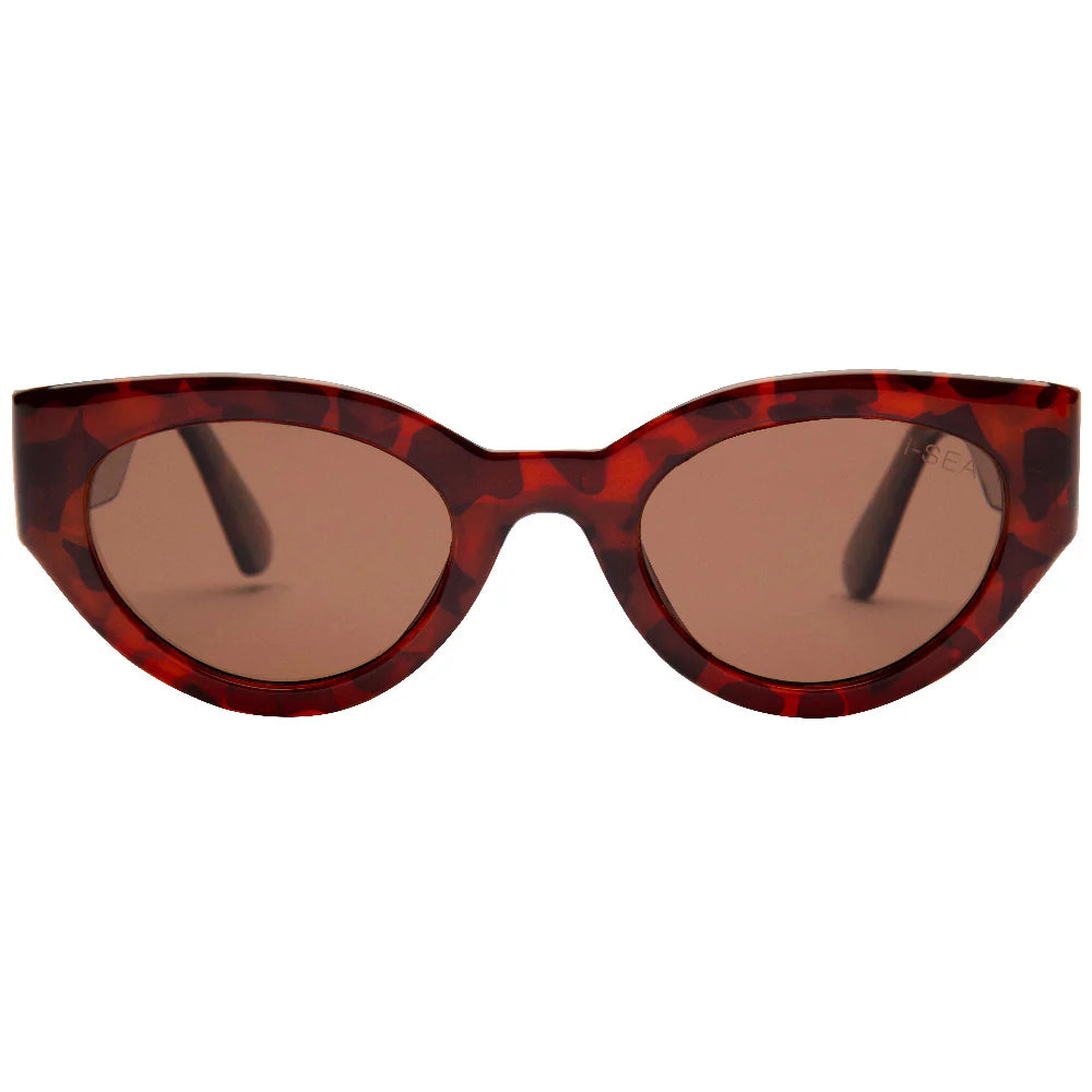 Ashbury Sky Sunglasses | Havana Tortoise