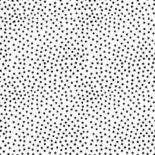 Load image into Gallery viewer, Beau Bottles Prosecco Collection | Black and White Dots