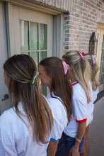 Load image into Gallery viewer, Greek Sorority Hair Clips: Pi Beta Phi