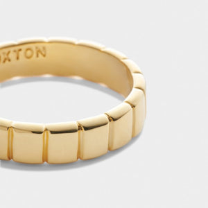 Katie Loxton Amulet Skinny Ring | Gold Coated